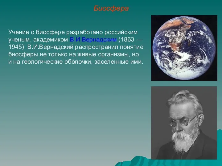 Биосфера Учение о биосфере разработано российским ученым, академиком В.И.Вернадским (1863 —