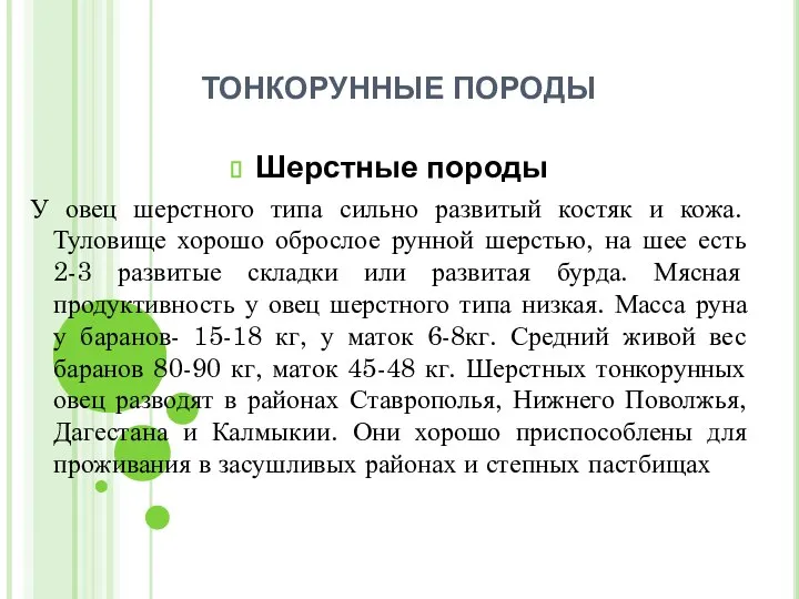 ТОНКОРУННЫЕ ПОРОДЫ Шерстные породы У овец шерстного типа сильно развитый костяк