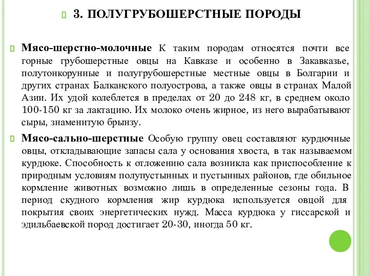 3. ПОЛУГРУБОШЕРСТНЫЕ ПОРОДЫ Мясо-шерстно-молочные К таким породам относятся почти все горные