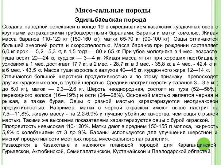 Мясо-сальные породы Эдильбаевская порода Создана народной селекцией в конце 19 в