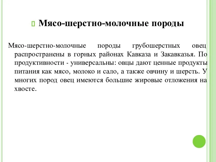 Мясо-шерстно-молочные породы Мясо-шерстно-молочные породы грубошерстных овец распространены в горных районах Кавказа