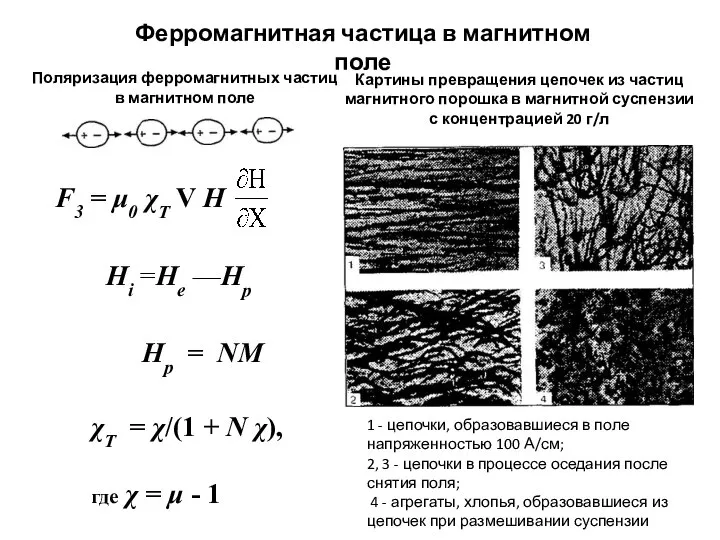 Ферромагнитная частица в магнитном поле Поляризация ферромагнитных частиц в магнитном поле