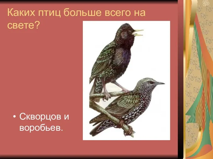 Каких птиц больше всего на свете? Скворцов и воробьев.