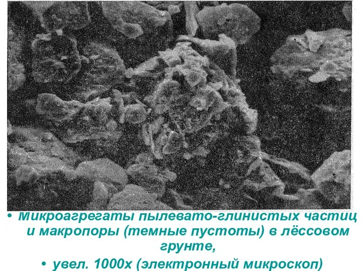 Микроагрегаты пылевато-глинистых частиц и макропоры (темные пустоты) в лёссовом грунте, увел. 1000х (электронный микроскоп)