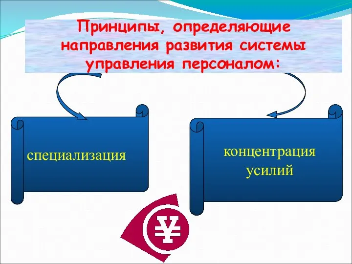 специализация концентрация усилий Принципы, определяющие направления развития системы управления персоналом: