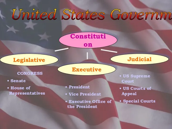 United States Government Constitution Judicial Executive Legislative CONGRESS Senate House of
