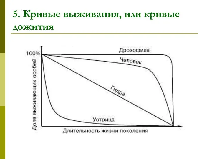 5. Кривые выживания, или кривые дожития