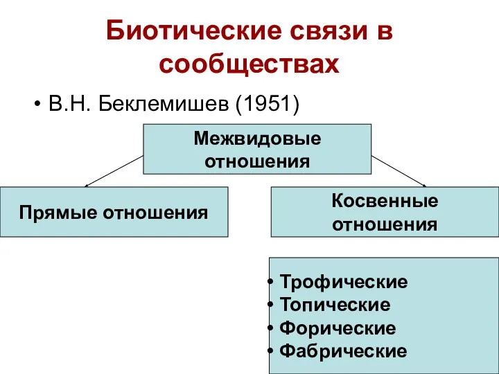 Биотические связи в сообществах В.Н. Беклемишев (1951) Межвидовые отношения Прямые отношения