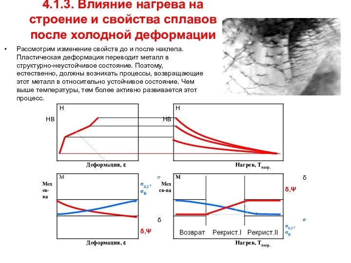 4.1.3. Влияние нагрева на строение и свойства сплавов после холодной деформации