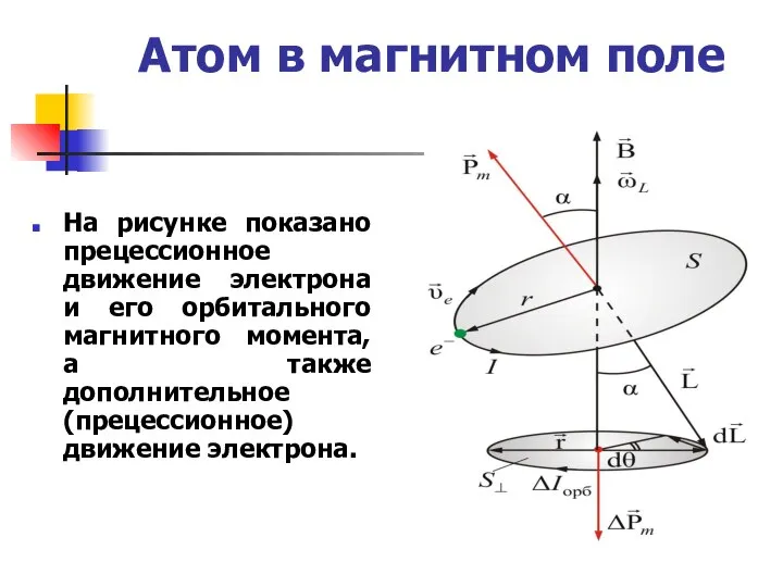 Атом в магнитном поле На рисунке показано прецессионное движение электрона и