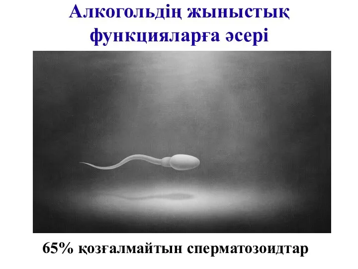 Алкогольдің жыныстық функцияларға әсері 65% қозғалмайтын сперматозоидтар