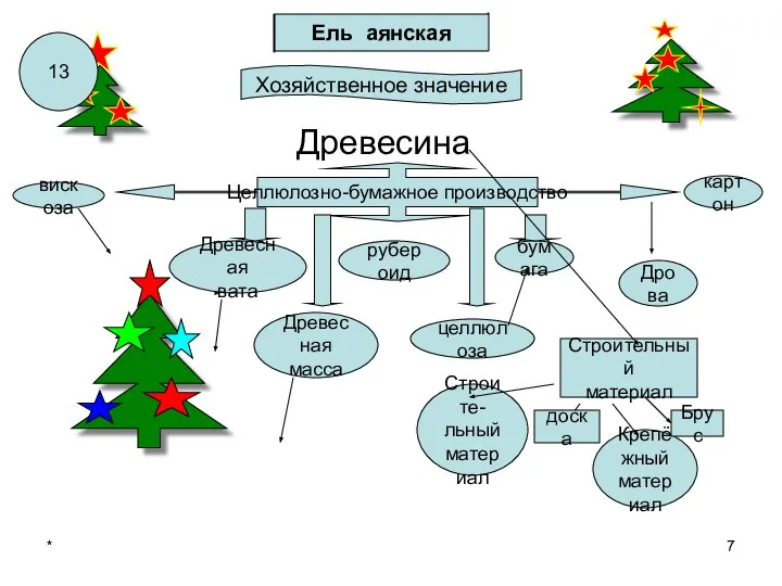 * Древесина Ель аянская Хозяйственное значение вискоза рубероид бумага Древесная вата