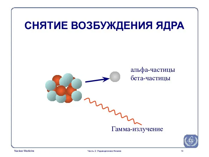 альфа-частицы бета-частицы Гамма-излучение СНЯТИЕ ВОЗБУЖДЕНИЯ ЯДРА Часть 2: Радиационная Физика