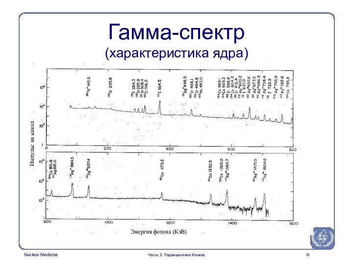Гамма-спектр (характеристика ядра) Часть 2: Радиационная Физика Импульс на канал Энергия фотона (КэВ)