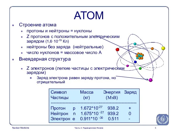Часть 2: Радиационная Физика АТОМ Строение атома протоны и нейтроны =