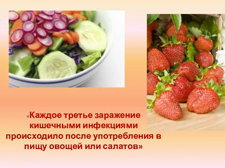 «Каждое третье заражение кишечными инфекциями происходило после употребления в пищу овощей или салатов»