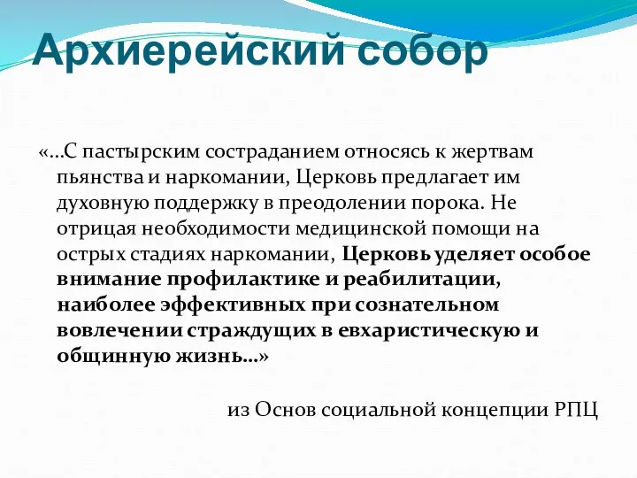 Архиерейский собор «…С пастырским состраданием относясь к жертвам пьянства и наркомании,