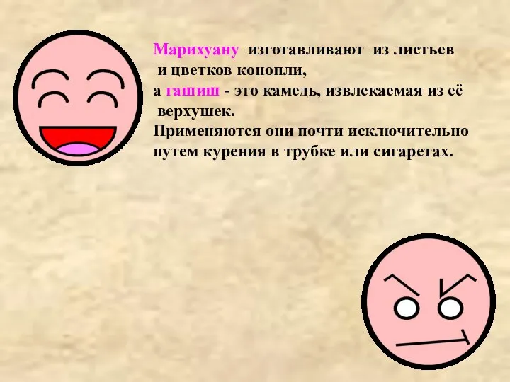 Марихуану изготавливают из листьев и цветков конопли, а гашиш - это