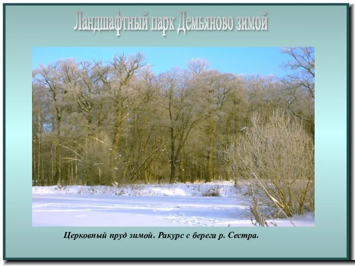 Ландшафтный парк Демьяново зимой Церковный пруд зимой. Ракурс с берега р. Сестра.