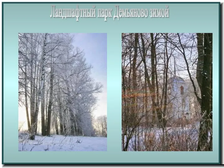 Ландшафтный парк Демьяново зимой