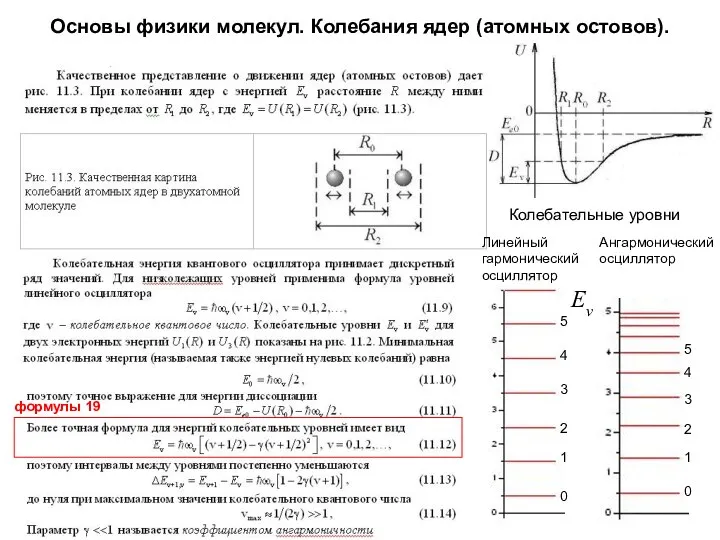 Основы физики молекул. Колебания ядер (атомных остовов). Колебательные уровни 0 1