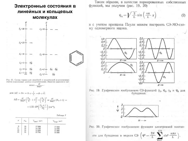 Электронные состояния в линейных и кольцевых молекулах