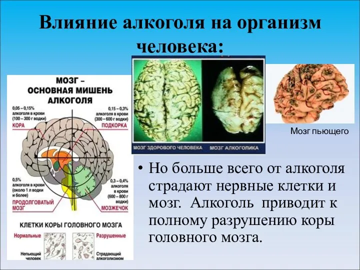 Влияние алкоголя на организм человека: Но больше всего от алкоголя страдают