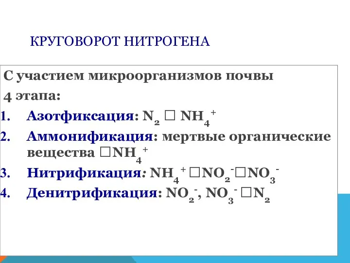 КРУГОВОРОТ НИТРОГЕНА С участием микроорганизмов почвы 4 этапа: Азотфиксация: N2 ?