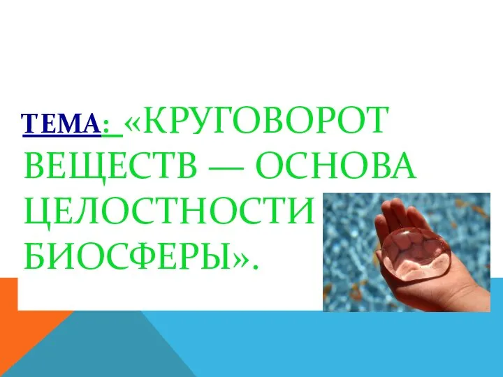 ТЕМА: «КРУГОВОРОТ ВЕЩЕСТВ — ОСНОВА ЦЕЛОСТНОСТИ БИОСФЕРЫ».