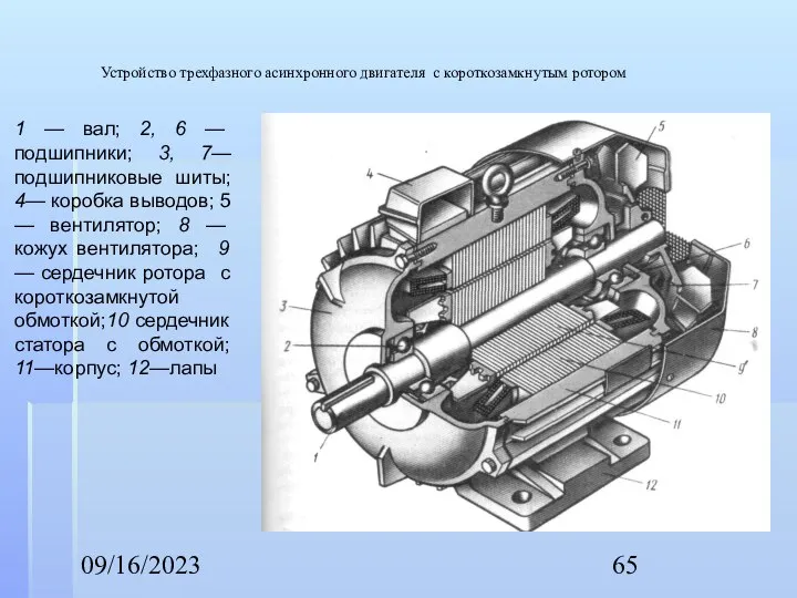 09/16/2023 Устройство трехфазного асинхронного двигателя с короткозамкнутым ротором 1 — вал;