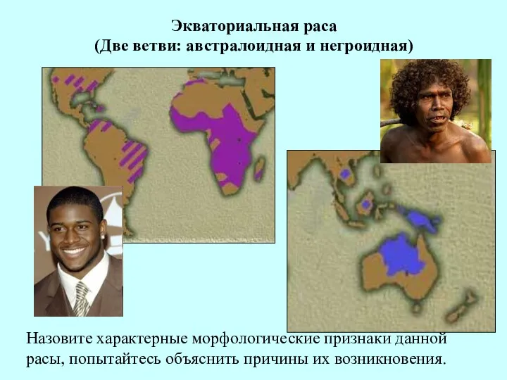 Экваториальная раса (Две ветви: австралоидная и негроидная) Назовите характерные морфологические признаки