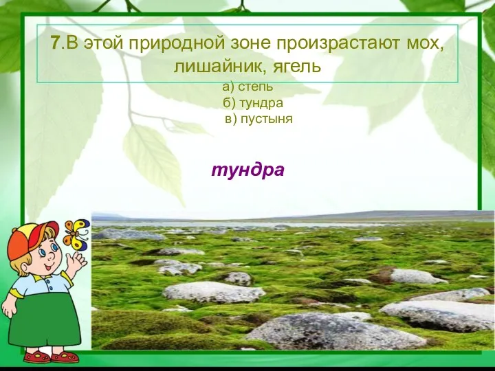 а) степь б) тундра в) пустыня тундра 7.В этой природной зоне произрастают мох, лишайник, ягель