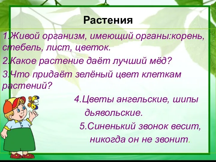 Растения 1.Живой организм, имеющий органы:корень, стебель, лист, цветок. 2.Какое растение даёт