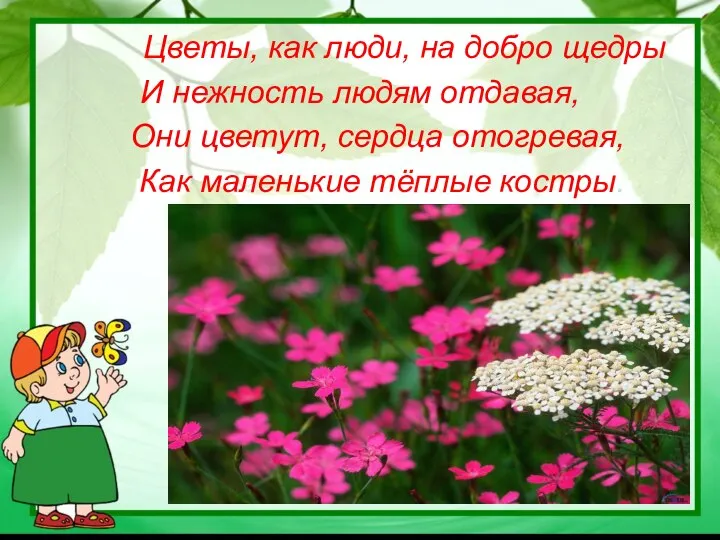 Цветы, как люди, на добро щедры И нежность людям отдавая, Они