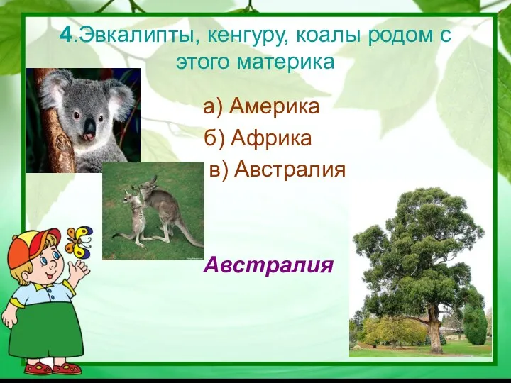 4.Эвкалипты, кенгуру, коалы родом с этого материка а) Америка б) Африка в) Австралия Австралия