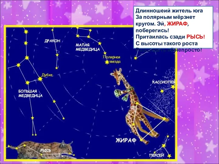 Длинношеий житель юга За полярным мёрзнет кругом. Эй, ЖИРАФ, поберегись! Притаилась