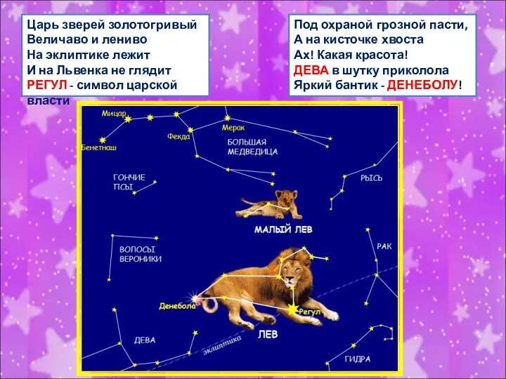 Царь зверей золотогривый Величаво и лениво На эклиптике лежит И на