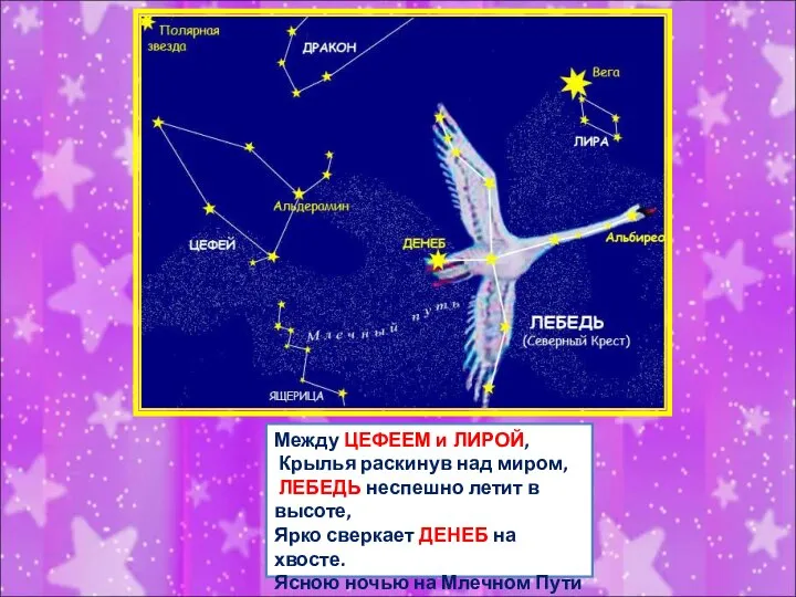 Между ЦЕФЕЕМ и ЛИРОЙ, Крылья раскинув над миром, ЛЕБЕДЬ неспешно летит