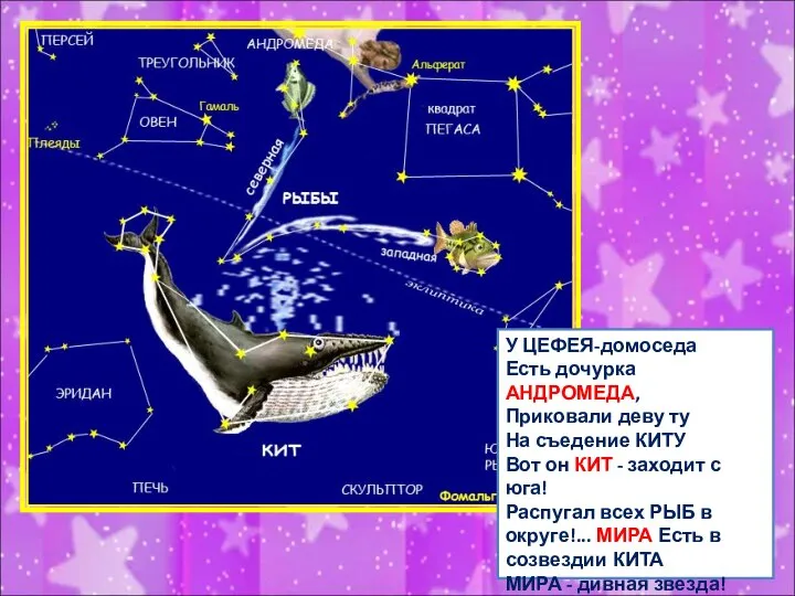 У ЦЕФЕЯ-домоседа Есть дочурка АНДРОМЕДА, Приковали деву ту На съедение КИТУ