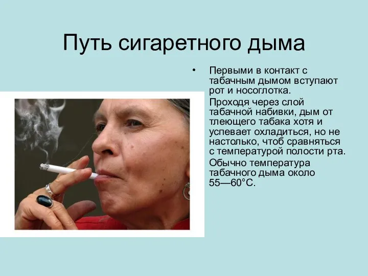 Путь сигаретного дыма Первыми в контакт с табачным дымом вступают рот