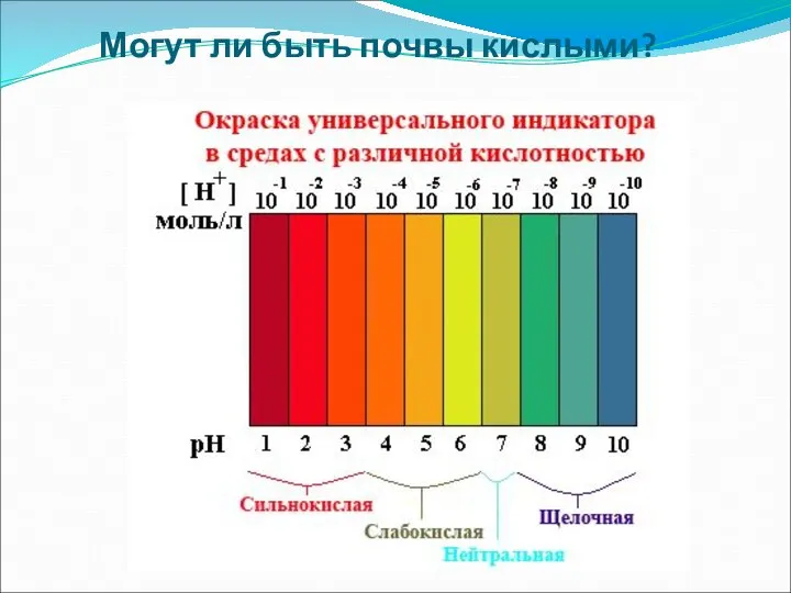 Могут ли быть почвы кислыми?