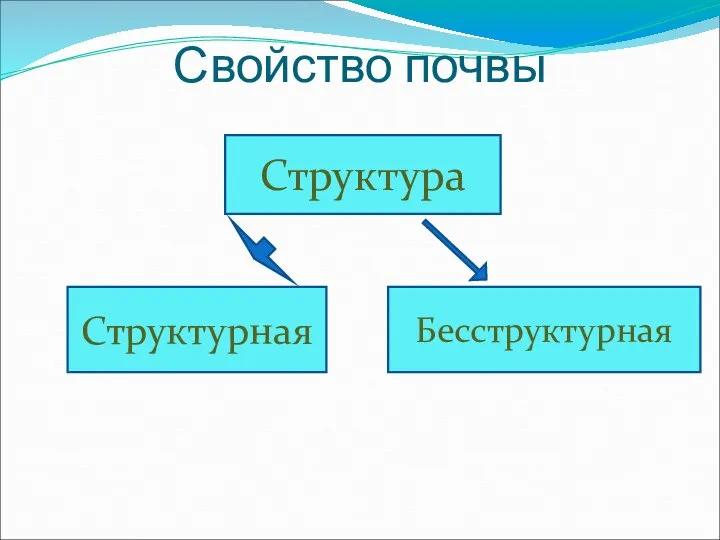 Свойство почвы Структура Структурная Бесструктурная