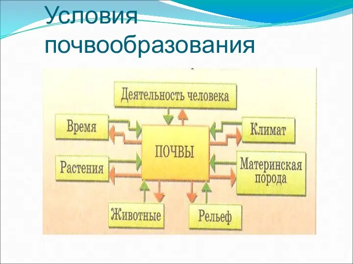 Условия почвообразования