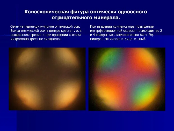 Коноскопическая фигура оптически одноосного отрицательного минерала. Сечение перпендикулярное оптической оси. Выход