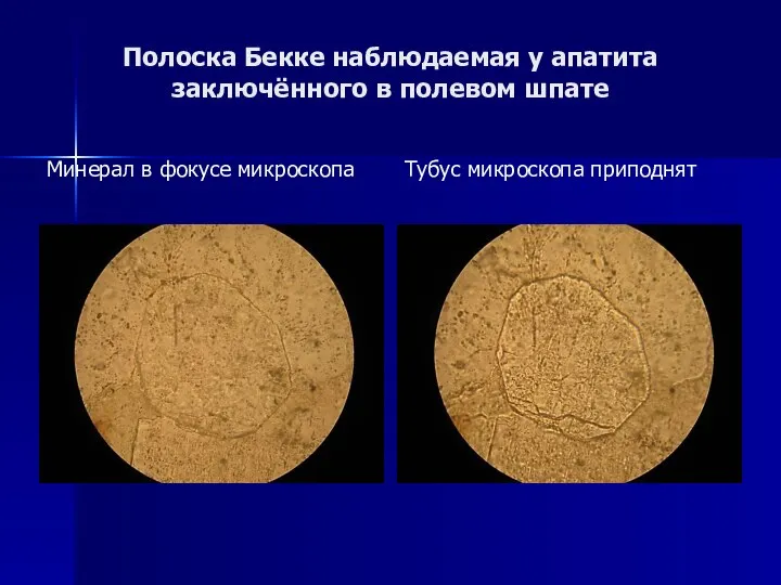 Полоска Бекке наблюдаемая у апатита заключённого в полевом шпате Минерал в фокусе микроскопа Тубус микроскопа приподнят