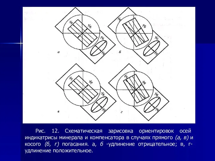 Рис. 12. Схематическая зарисовка ориентировок осей индикатрисы минерала и компенсатора в