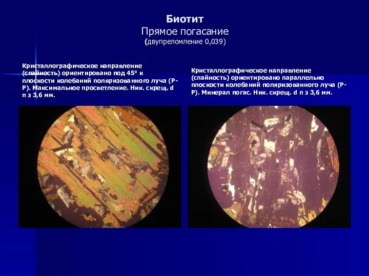 Биотит Прямое погасание (двупреломление 0,039) Кристаллографическое направление (спайность) ориентировано под 45°