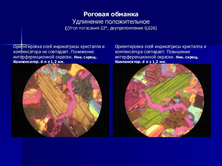 Роговая обманка Удлинение положительное ((Угол погасания 22°, двупреломление 0,026) Ориентировка осей