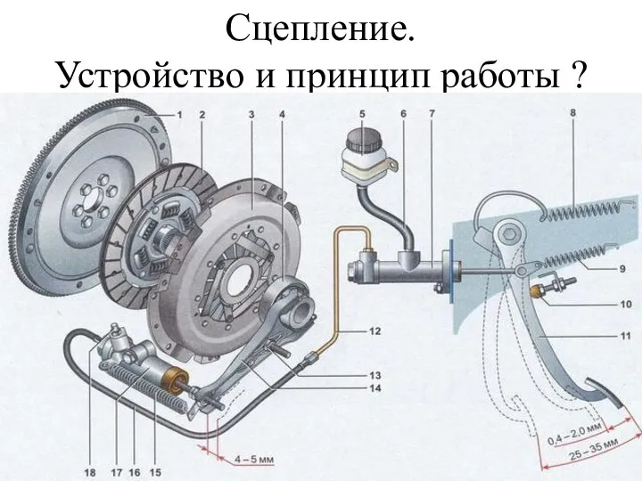 Сцепление. Устройство и принцип работы ?