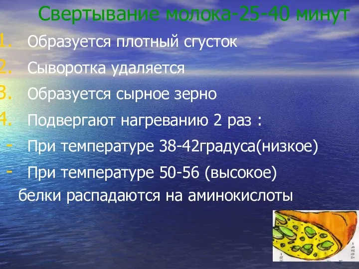 Свертывание молока-25-40 минут Образуется плотный сгусток Сыворотка удаляется Образуется сырное зерно